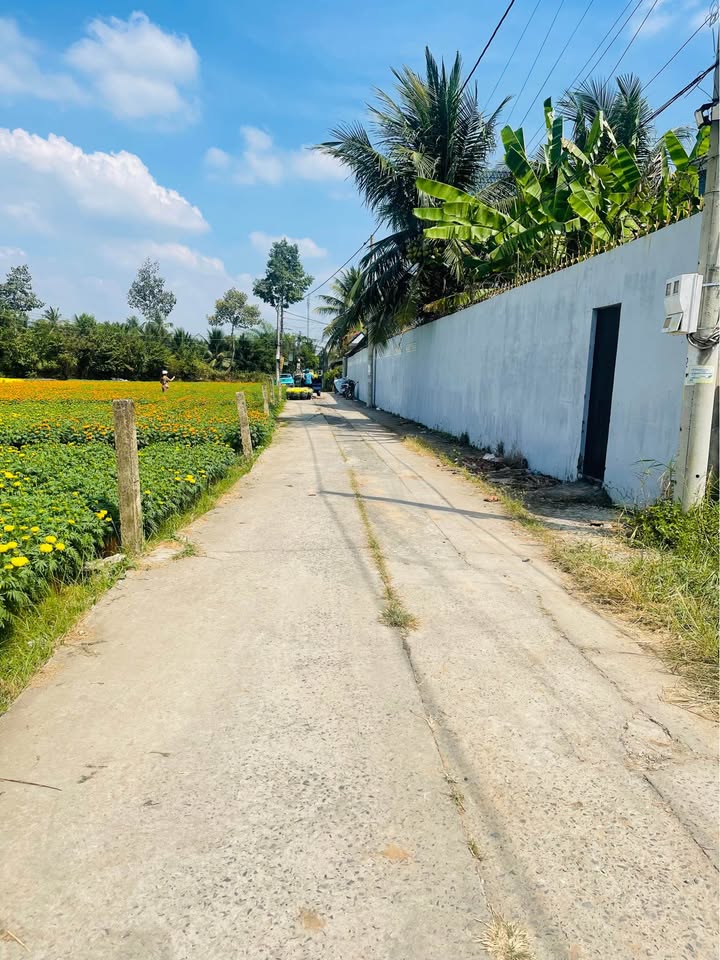 Đất nền Mỹ Phong Mỹ Tho 100m² giá 800 triệu - Sổ đỏ chính chủ