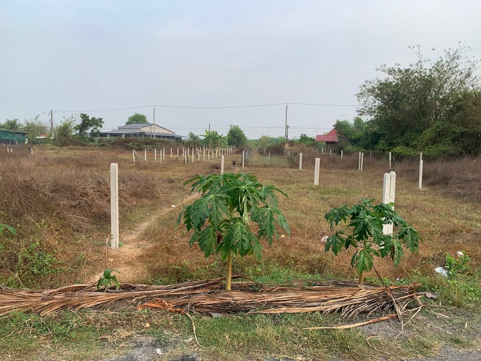 Đất thổ cư 135m² tại Ấp Chánh, Tây Ninh giá 495 triệu - Đầu tư sinh lời ngay!