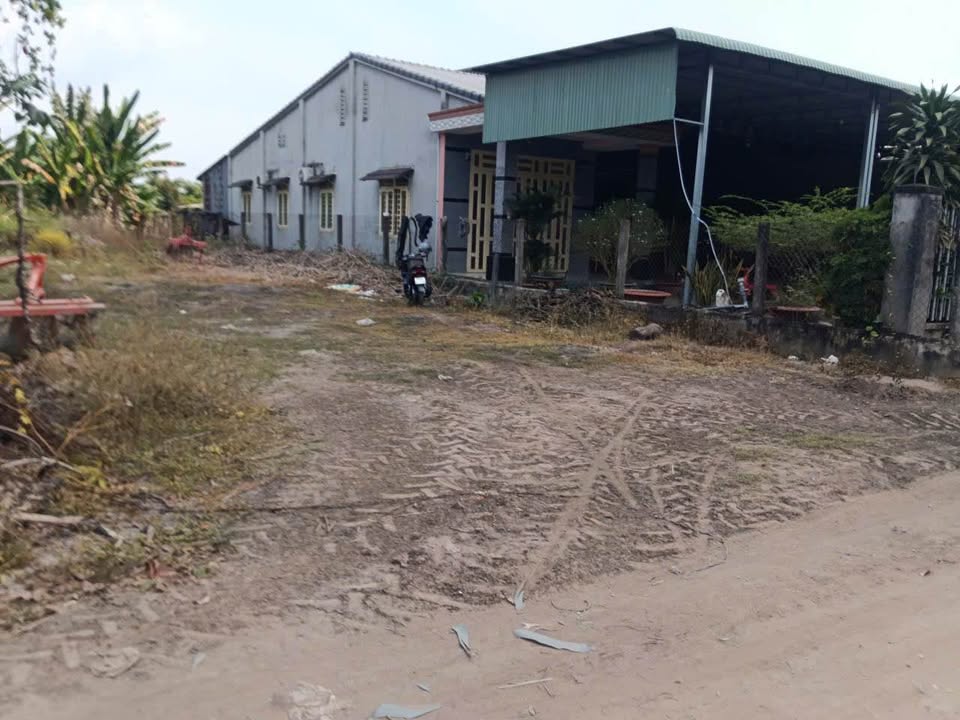 Đất Tân Hưng, Tân Châu 240m² giá 335 triệu - Sổ đỏ chính chủ!