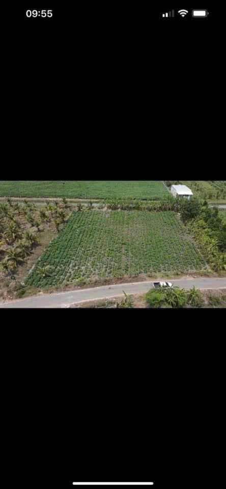 Bán đất Xã Phan Dương Minh Châu 145m² giá 3 tỷ - Sổ hồng chính chủ