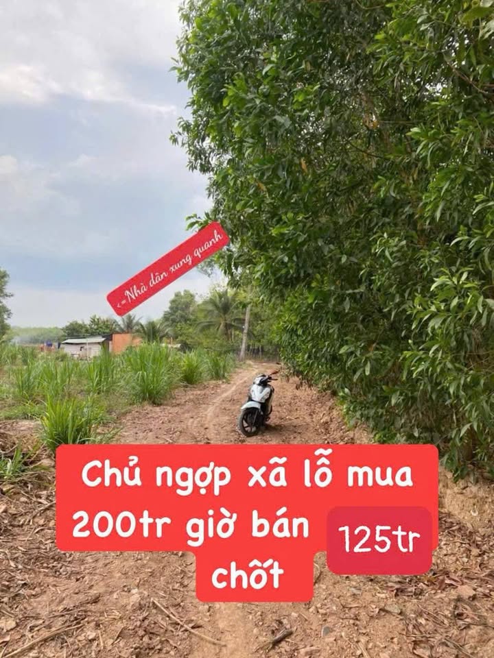 Đất Thạnh An Tân Biên 170m² giá 125 triệu - Sổ đỏ sẵn sang tên ngay!