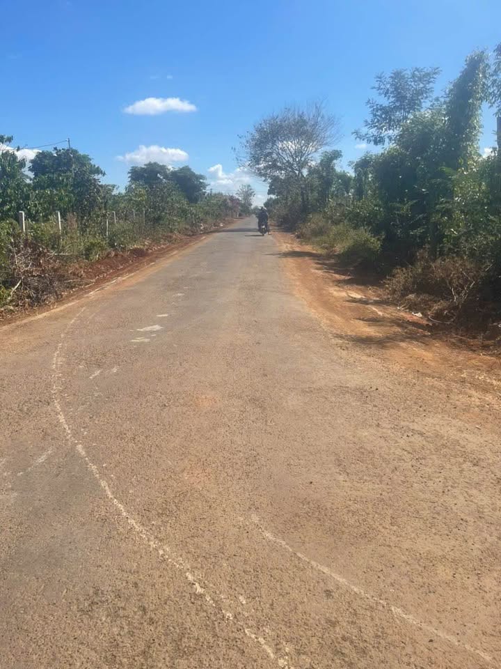 Đất 2 mặt tiền tại Phường Thành Nhất, 535m² giá 950 triệu - Cơ hội đầu tư tuyệt vời!