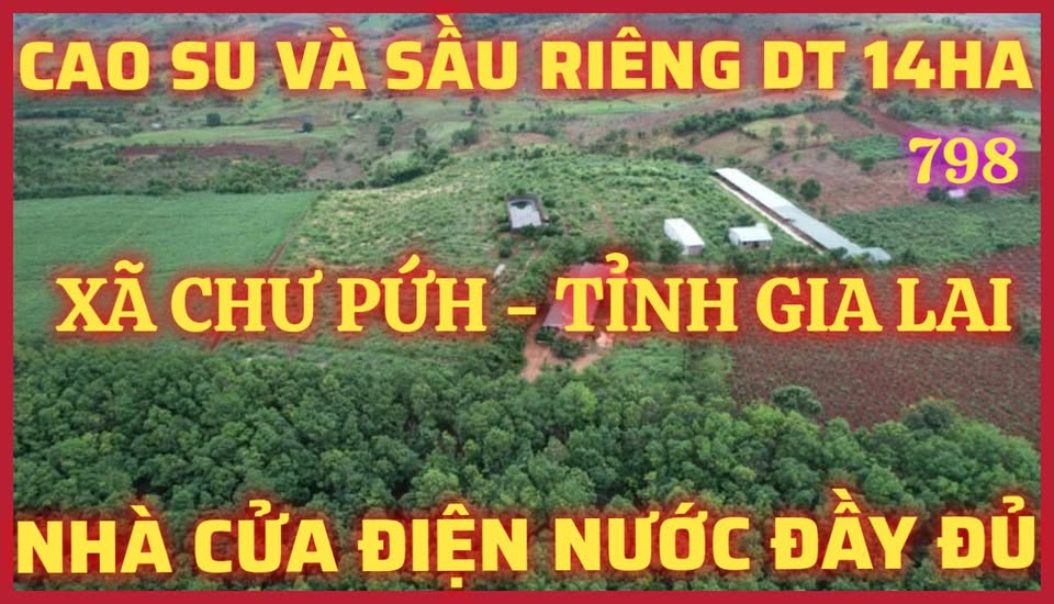 Đất rẫy Chư Pưh, Gia Lai 14ha giá 22 tỷ - Đầu tư dài hạn!