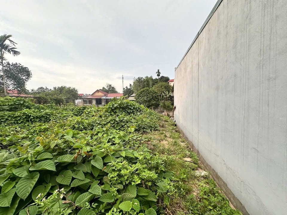 Đất nền Phùng Khắc Khoan Yên Bái 88m² giá 700 triệu - Sổ đỏ chính chủ