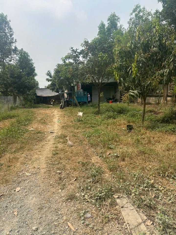 Thuê nhà vườn Thạnh Phú, Vĩnh Cửu 100m² giá 2.5tr - Nghỉ dưỡng lý tưởng!