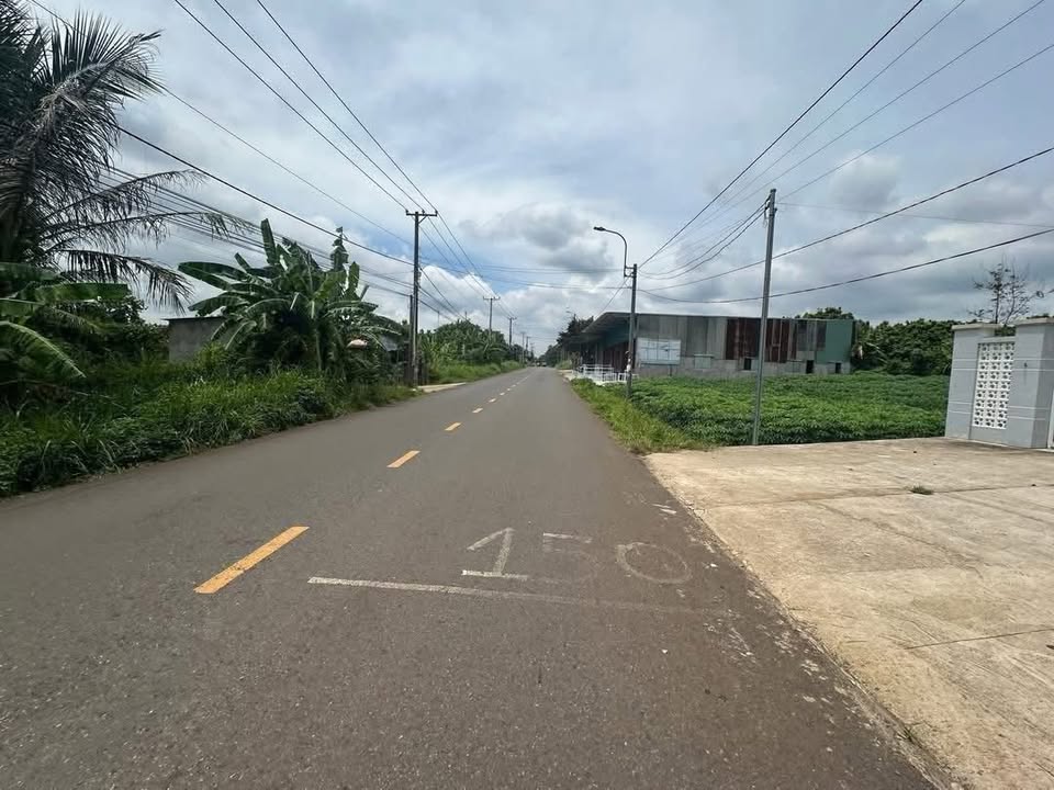 Bán Đất 2000m² Suối Chồn, Long Khánh - Sổ Hồng Sẵn, Giá 2 Tỷ