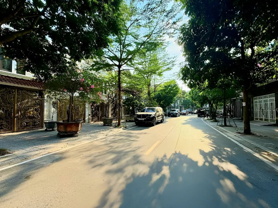 Nhà 7 Tầng Thang Máy 55m² - Dòng Tiền 1 Tỷ/Năm Tại Văn Phú, Hà Đông