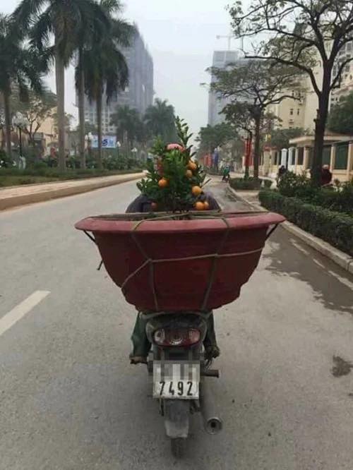 Căn hộ Florence 28 Trần Hữu Dực 82m² 7 tỷ - Bàn giao ngay!