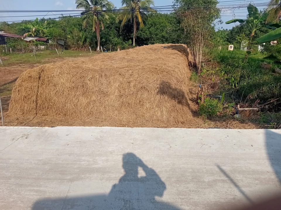 Đất nền Phước Thới 175m² giá 699 triệu - Đường to ô tô