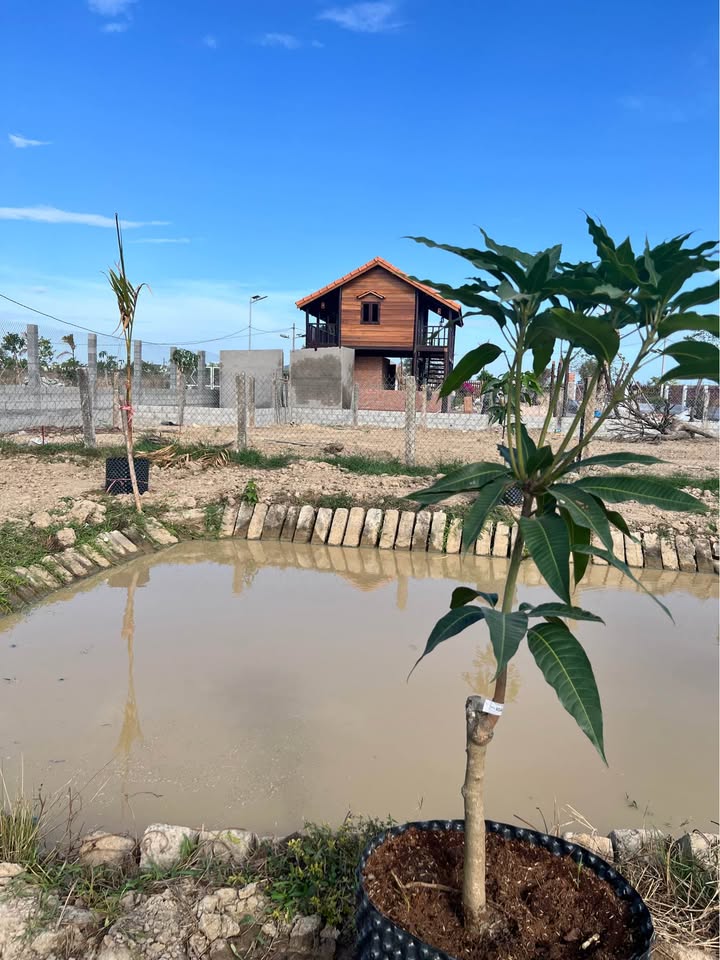 Đất thổ cư 1000m² tại Hàm Liêm, giá chỉ 870 triệu - Đầu tư tuyệt vời!