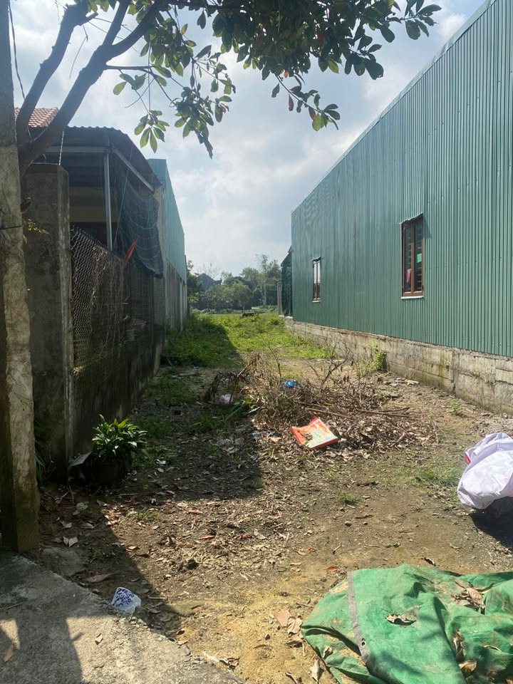 Đất nền Tam Xuân I Núi Thành 125m² - Tiềm năng tăng giá cao!