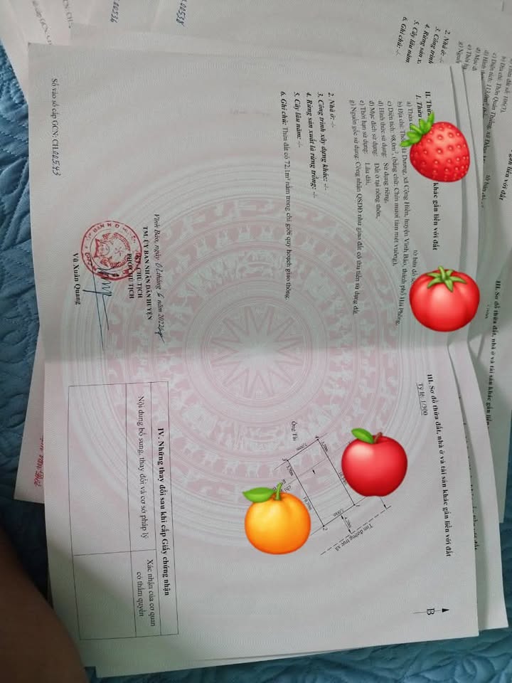 Đất 98m² Xã Cộng Hiền Vĩnh Bảo Hải Phòng 900 triệu - Sổ đỏ