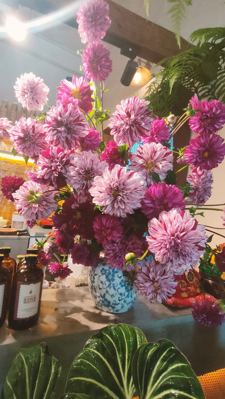 Đất nền Phú Điền, Quảng Ngãi 110m² giá chỉ 9xx - Cơ hội đầu tư tuyệt vời!