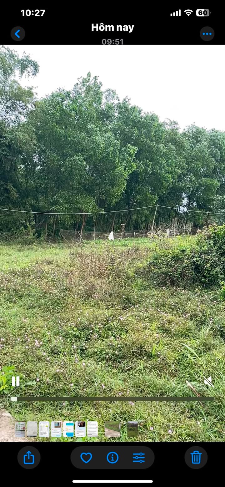 Đất Vườn 912m² Sổ Đỏ Chính Chủ Tại Núi Thành, Quảng Nam - Giá Ưu Đãi