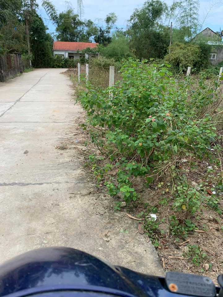 Đất vườn An Phú, Tam Kỳ 180m² giá 900 triệu - Đầu tư sinh lời ngay!