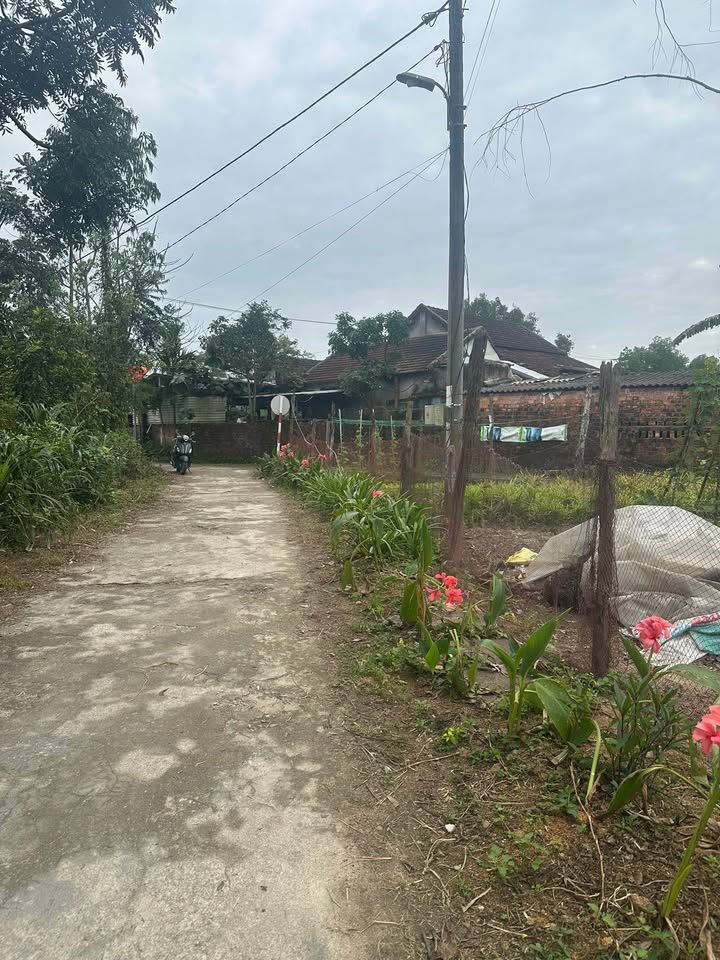 Đất vườn Thị trấn Phú Thịnh 450m² giá 690 triệu - Sổ đỏ chính chủ