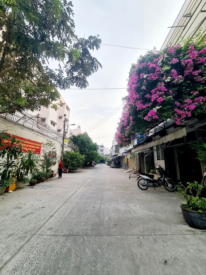 Nhà cấp 4 đường Âu Cơ, P.5, Q.11 - 50m² chỉ 6 tỷ - Sẵn sàng xây mới!