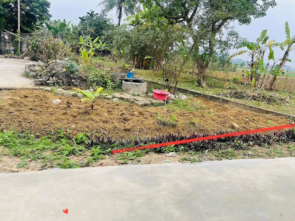 Đất nền Yên Sơn Thanh Sơn 230m² 400 triệu - Sổ đỏ chính chủ