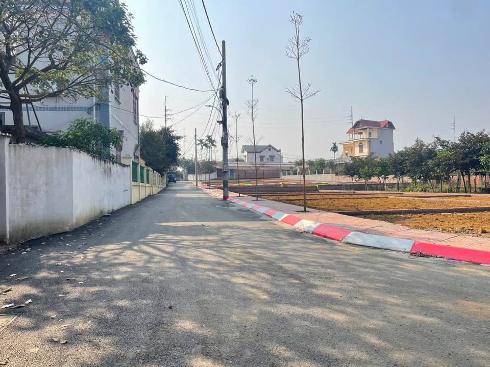 Đất nền thổ cư 100m² tại Đường trục chính thôn, Huyện Bình Lục - Sổ hồng chính chủ sẵn sàng!