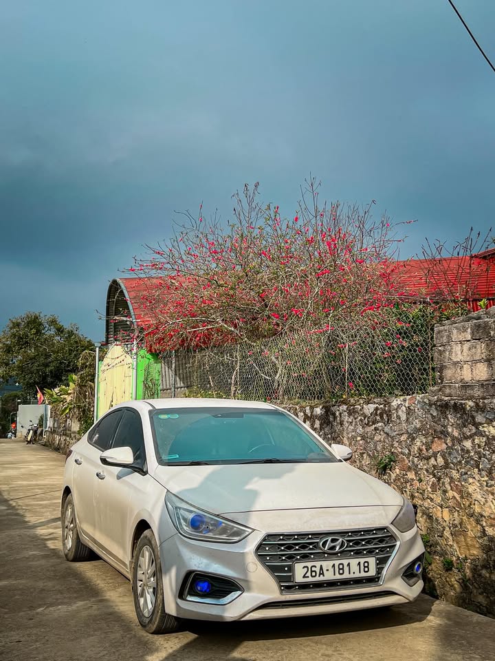 Đất vườn tại Tdp Bình Nguyên, Thảo Nguyên, 1200m² - Sổ hồng chính chủ, giá tốt!