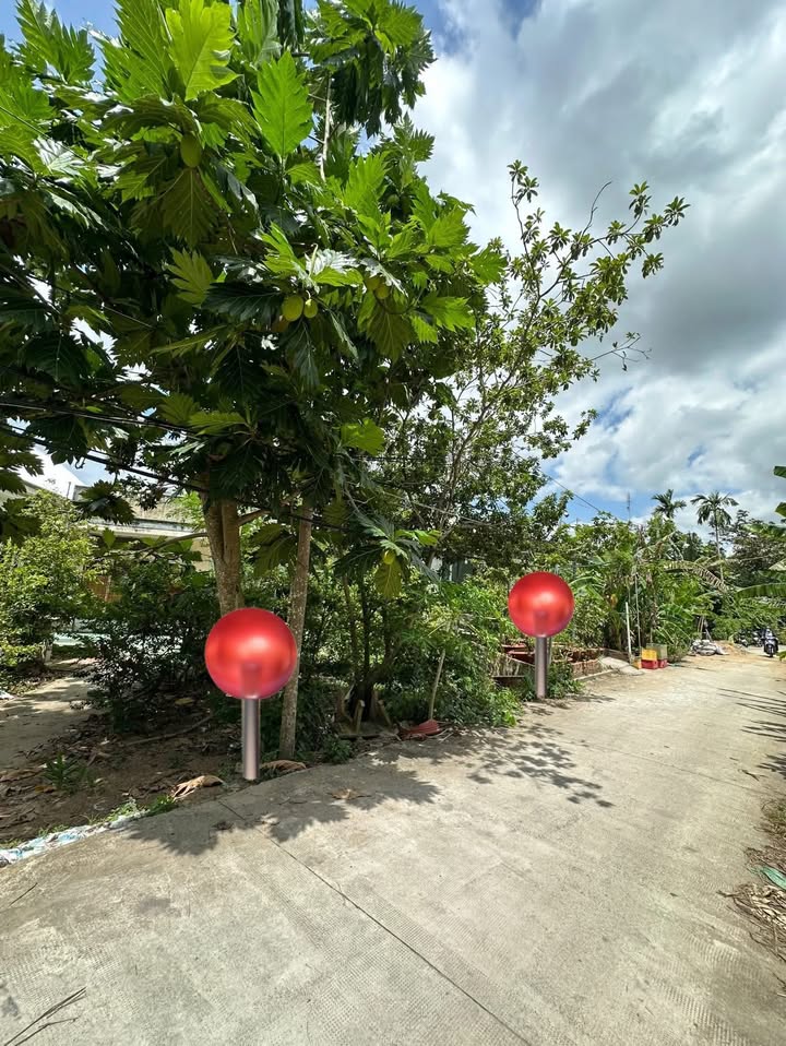 Đất Nền Tô Vĩnh Diện Ninh Kiều 1304m² - Tiềm Năng Tăng Giá