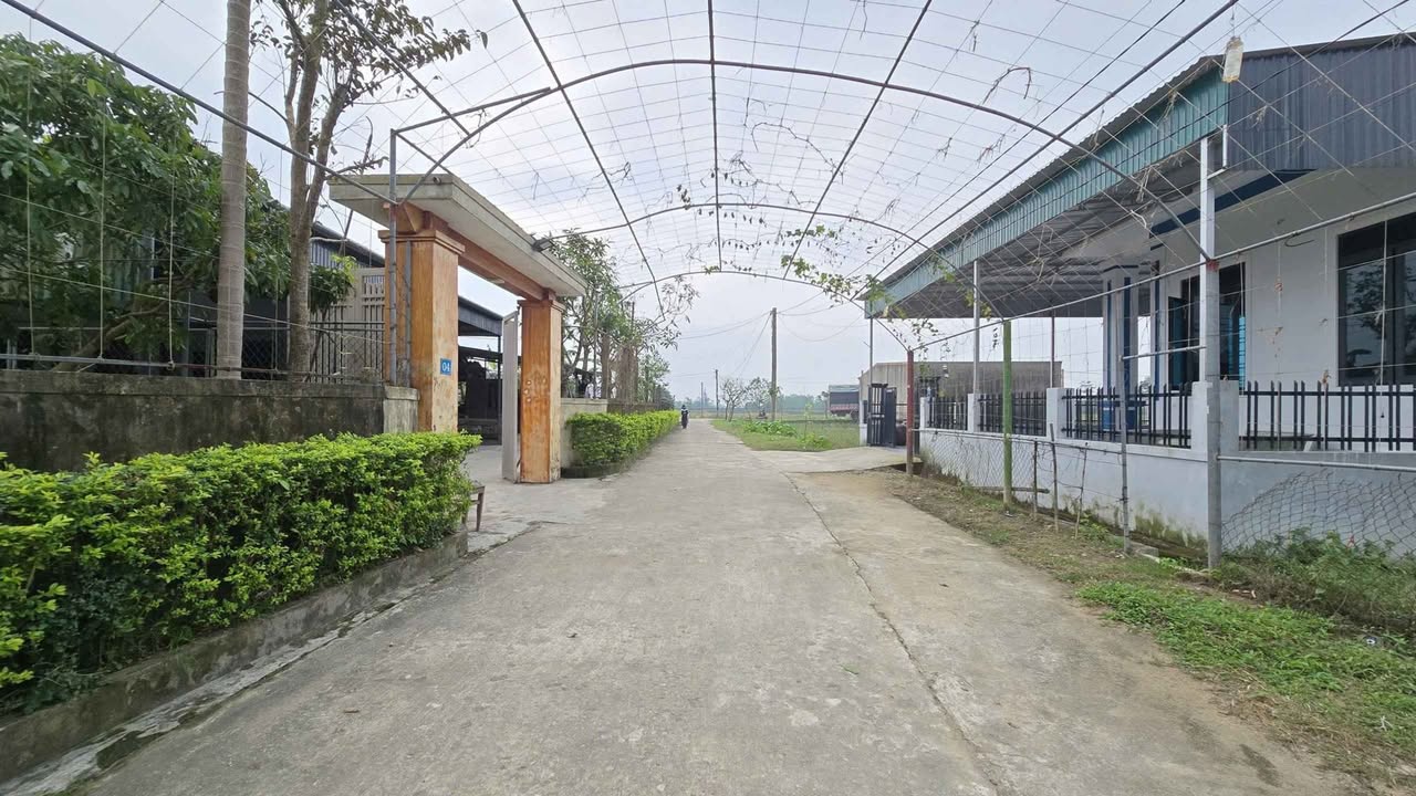 Đất thổ cư thôn Hà Thanh, Tượng Sơn 132m² giá 1 tỷ - Cơ hội đầu tư tuyệt vời!