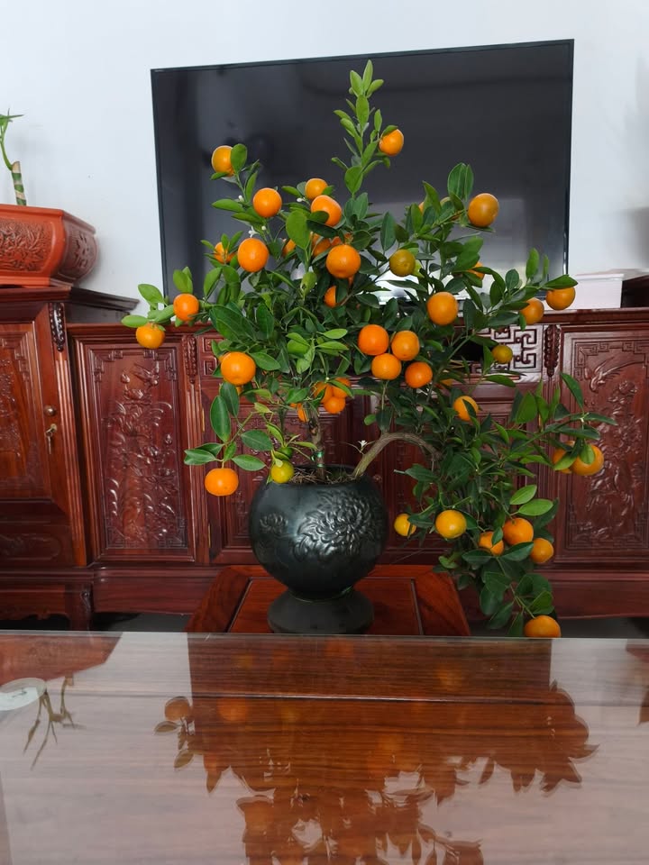 Đất thổ cư Thị trấn Thạch Hà 180m² giá thỏa thuận - Hướng Đông Nam thoáng mát!