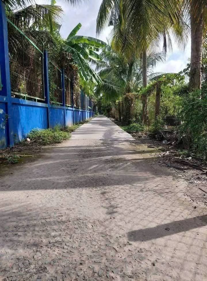 Đất vườn 570m² xã Kim Sơn, Châu Thành, Tiền Giang giá 650 triệu - Sổ đỏ chính chủ!