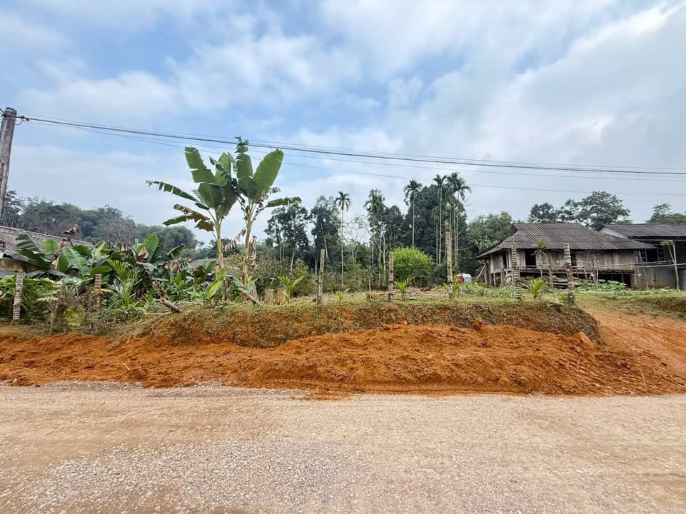 Đất nền Xã Tử Nê, Huyện Tân Lạc, 140m² giá thỏa thuận - Đầu tư sinh lời tốt!