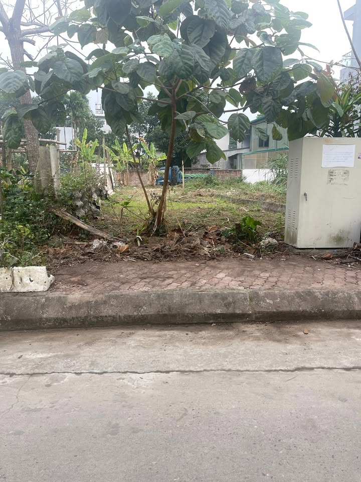 Đất nền Thịnh Lang TP. Hòa Bình 100m² 2.2 tỷ - Sổ đỏ chính chủ