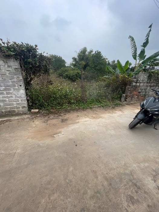 Đất Lục Nam 150m² - Sổ Đỏ Rõ Ràng, Giá Đầu Tư 7xx Triệu