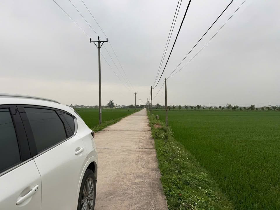 Đất thổ cư Xã Đông Quang, Tiền Hải 100m² - Giá hấp dẫn, ô tô vào tận nơi!