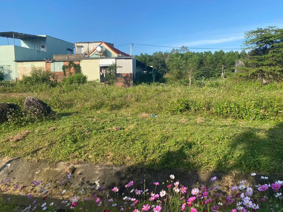 Đất nền KDC Tây Yên, Tam Kỳ 180m² giá 850 triệu - Cơ hội đầu tư tuyệt vời!