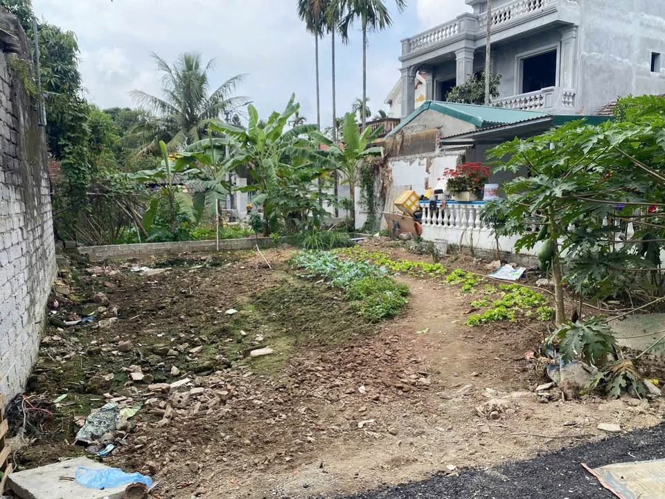 Lô đất 75m² đường N2, huyện Thanh Liêm, chỉ 2.6 tỷ - Cơ hội vàng cho nhà đầu tư!