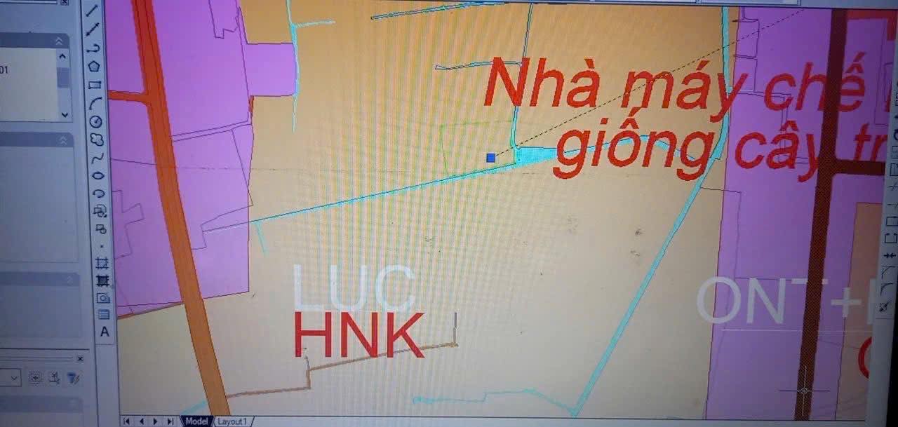 Đất vườn An Nhơn Tây Củ Chi 500m² giá 750 triệu - Nghỉ dưỡng lý tưởng!