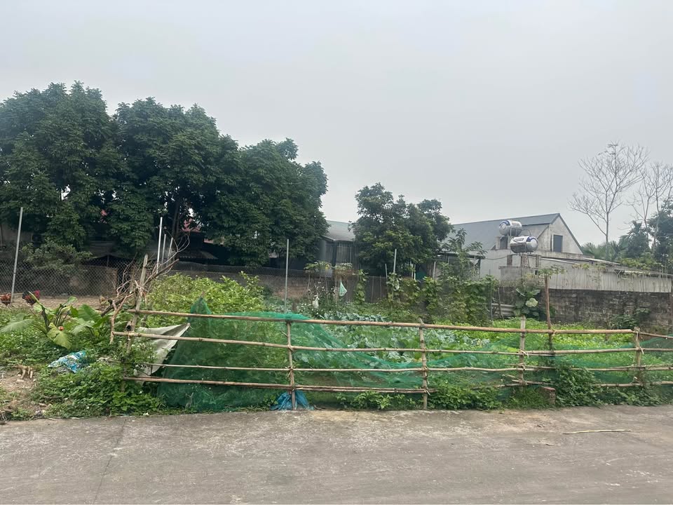 Đất nền Phường Âu Cơ Thị xã Phú Thọ 100m² hơn 500 triệu - Sổ đỏ chính chủ