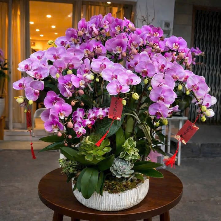 Nhà cấp 4 khu phố 10, Trảng Bom 140m² giá 2.85 tỷ - Sổ đỏ chính chủ