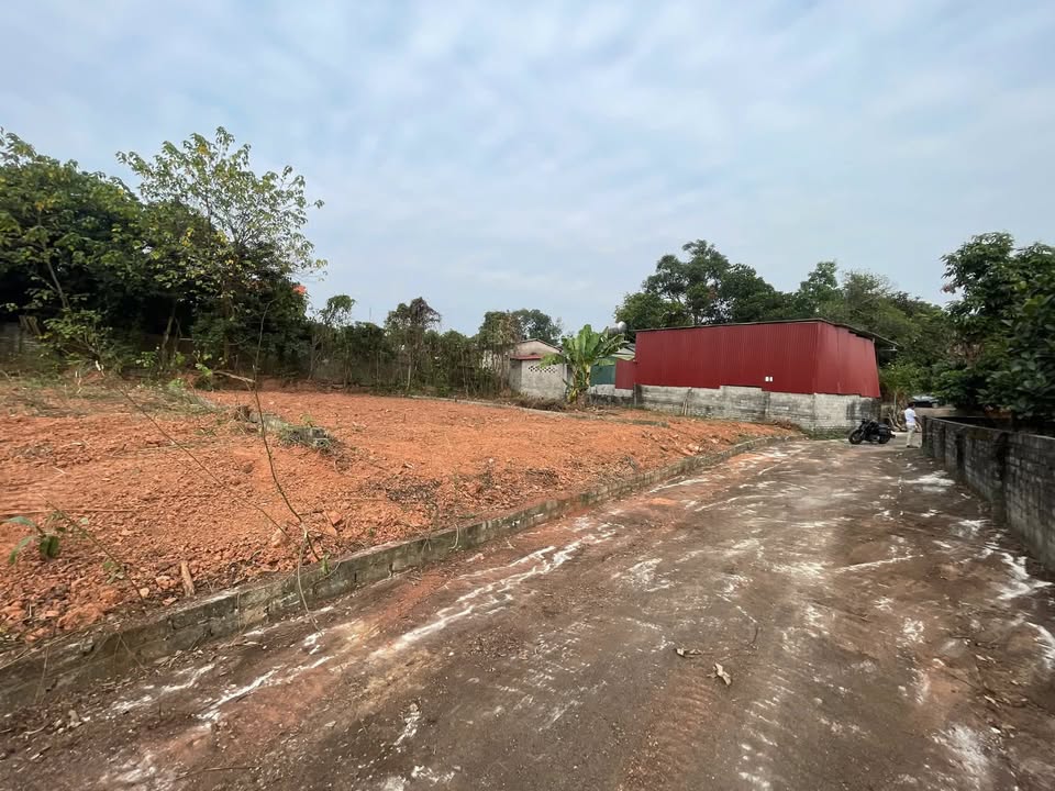 Đất thổ cư Thôn Thuẫn, Bảo Đài 193,5m² giá 600 triệu - Cơ hội đầu tư hiếm có!