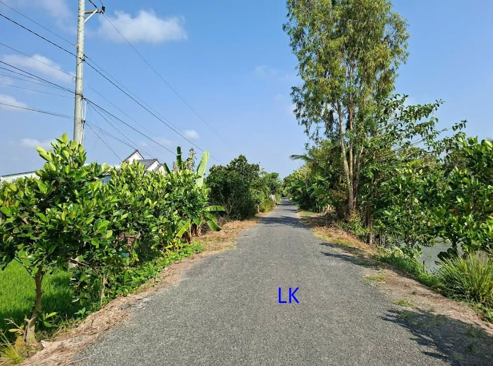 Bán Đất Vườn Mỹ Trà Cao Lãnh 5.440m² Giá 1.8 Tỷ - Nghỉ Dưỡng Lý Tưởng