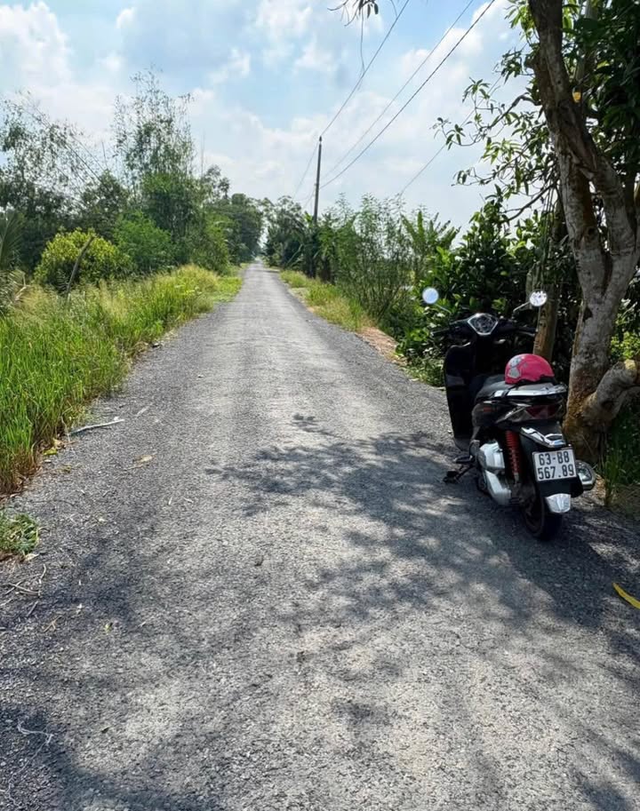 Đất Vườn 34.000m² Đồng Tháp - Sổ Hồng Riêng, Bao Lên Vườn