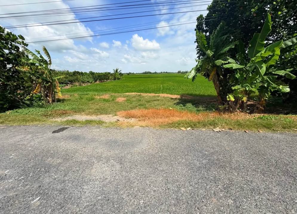 Đất Vườn Chính Chủ 13.500m² - Sổ Hồng Rõ Ràng, Giá Đầu Tư 5 Tỷ Tại Cao Lãnh