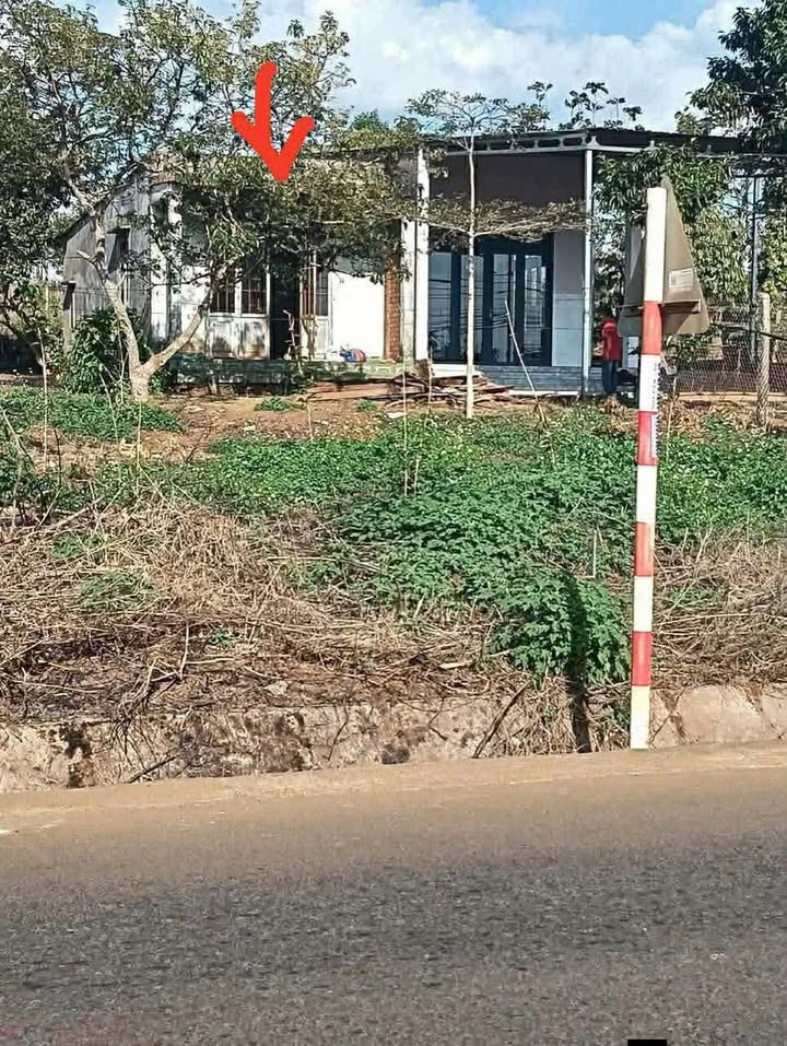 Nhà Đẹp 270m² Full Thổ Cư Quốc Lộ 29, Đắk Lắk - Sổ Đỏ Sẵn Sàng