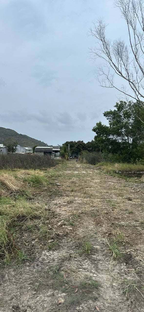 Đất thổ cư 150m² tại Long Hải, giá chỉ 1.38 tỷ - Cơ hội đầu tư lý tưởng!