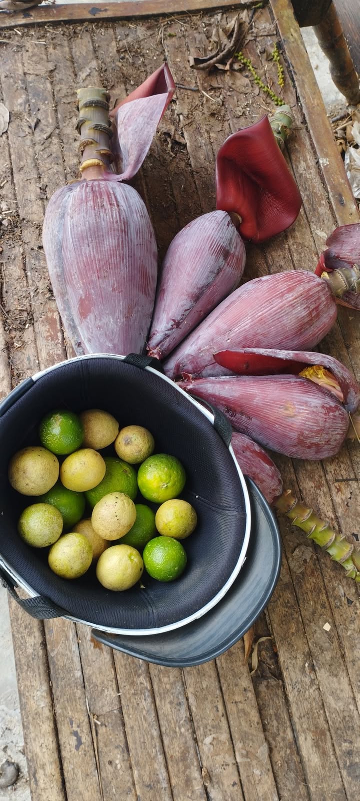 Đất nền Ea Sô Ea Kar 1400m² giá 4.4 tỷ - Sổ đỏ chính chủ!