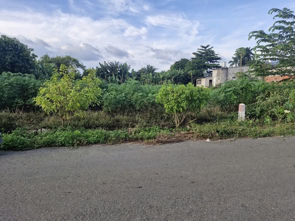 Đất nền Mỹ Xuân Phú Mỹ 300m² 6.5 tỷ - Sổ đỏ chính chủ đón sóng đầu tư!