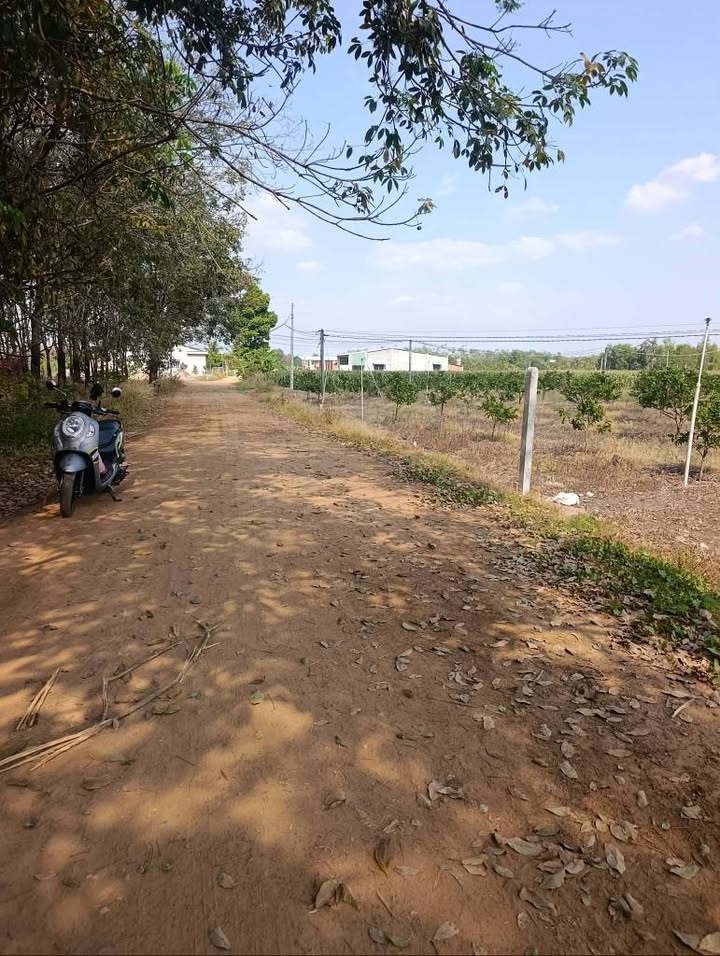 Đất nền Tân Hưng, Tân Châu 225m² giá hơn 200 triệu - Sổ đỏ chính chủ!