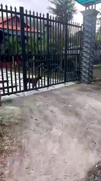 Nhà vườn Bình Dương 880m² giá 3 tỷ - Nghỉ dưỡng lý tưởng!