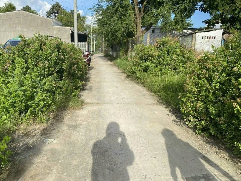 Đất nền Châu Thành Trà Vinh 195m² - Hẻm ô tô, sổ đỏ sẵn sàng!