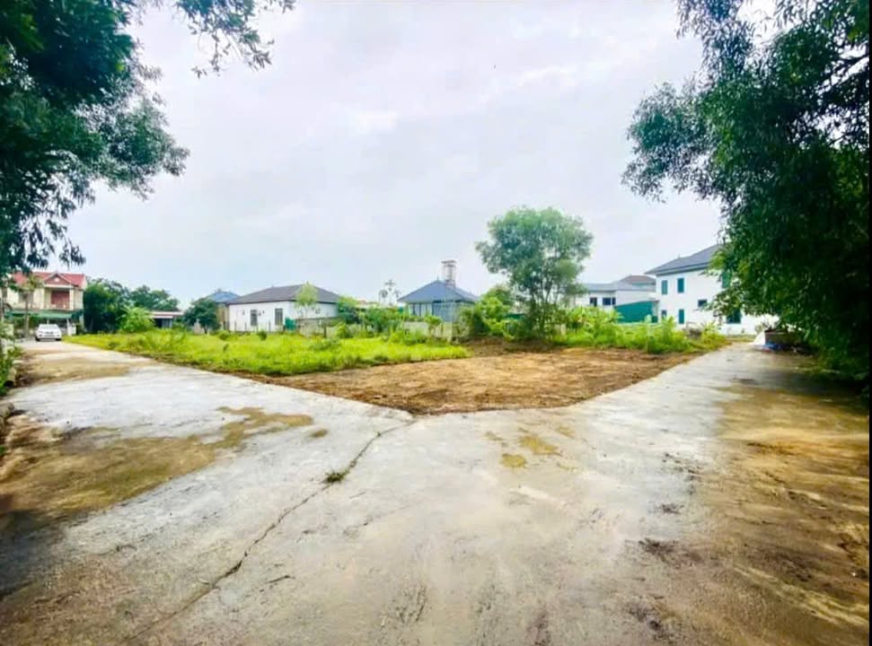 Đất nền Thạch Đài, Hà Tĩnh 150m² giá 2.9 tỷ - Vị trí đắc địa 2 mặt tiền!