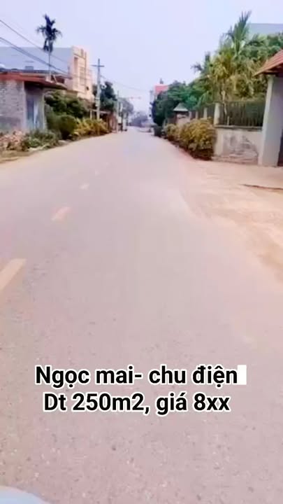 Đất nền xã Chu Điện, huyện Lục Nam 250m² giá chỉ 8xx triệu - Đầu tư sinh lời ngay!